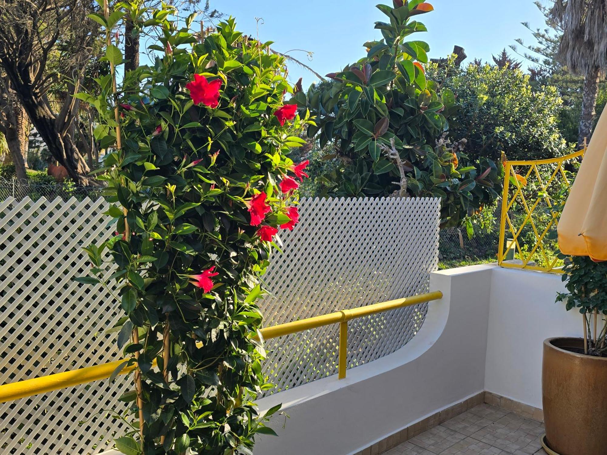 Apartamento Victoria Vilamoura Esterno foto