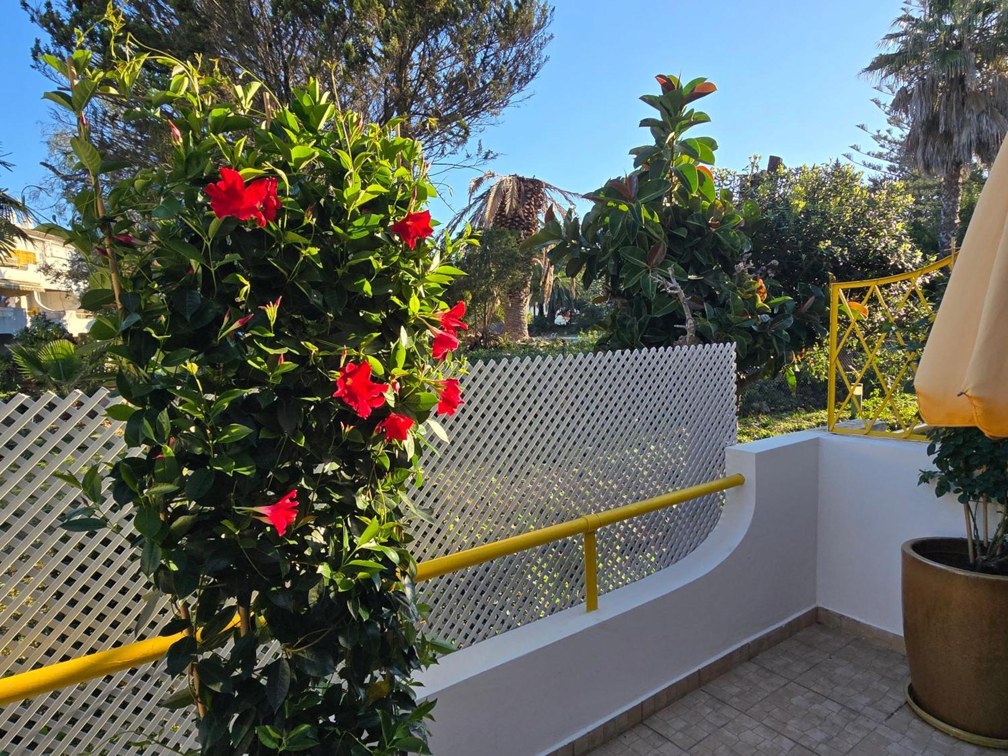 Apartamento Victoria Vilamoura Esterno foto